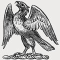 Mccowan family crest, coat of arms