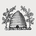 Braikenridge family crest, coat of arms