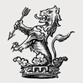 Mansergh family crest, coat of arms