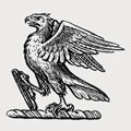 Stapleton family crest, coat of arms