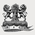 Chein family crest, coat of arms
