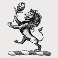 Walkelin family crest, coat of arms