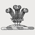 Meyrick family crest, coat of arms