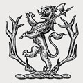 Stuckley family crest, coat of arms