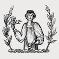 Blakeney-Lyon-Stewart family crest, coat of arms