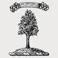 Wigan family crest, coat of arms