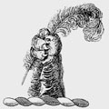 Nanby family crest, coat of arms