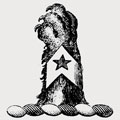 Saint Owen family crest, coat of arms