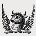De Burg family crest, coat of arms