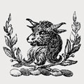 Saker family crest, coat of arms