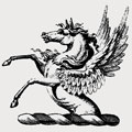 Mynn family crest, coat of arms