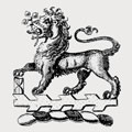 Shadford family crest, coat of arms