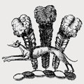 Peppard family crest, coat of arms