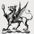 Jupp family crest, coat of arms