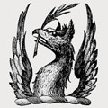 Fitz-Simon family crest, coat of arms