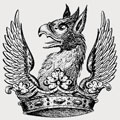 Bold family crest, coat of arms
