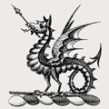 Jenkens family crest, coat of arms