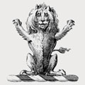 Dobbs family crest, coat of arms