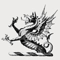 Steven family crest, coat of arms