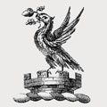 Timpson family crest, coat of arms