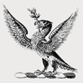 Bridge family crest, coat of arms
