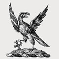 Sagar-Musgrave family crest, coat of arms