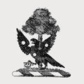 Barne family crest, coat of arms