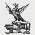 Birkett family crest, coat of arms