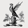 Cockfield family crest, coat of arms