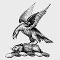 Mountcashell family crest, coat of arms