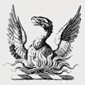 Eddington family crest, coat of arms