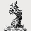 Walcott family crest, coat of arms