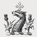 Baddiford family crest, coat of arms