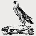 Leeche family crest, coat of arms