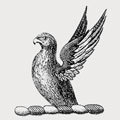 Belcher family crest, coat of arms