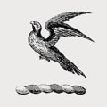 Glemham family crest, coat of arms