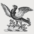 Godman family crest, coat of arms