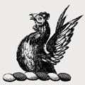 Badcock family crest, coat of arms