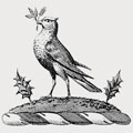 Meggison family crest, coat of arms