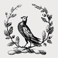 Somersett family crest, coat of arms