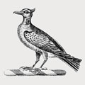 Gordon-Cuming-Skene family crest, coat of arms