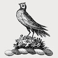 Flitt family crest, coat of arms