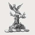 Duxbury family crest, coat of arms
