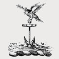 Hazard family crest, coat of arms