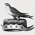 Bourdillon family crest, coat of arms
