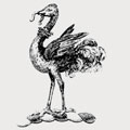 Cock family crest, coat of arms