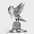 Briggs family crest, coat of arms
