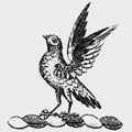 Partridge family crest, coat of arms