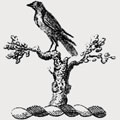 Corbett family crest, coat of arms