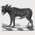 Mules family crest, coat of arms